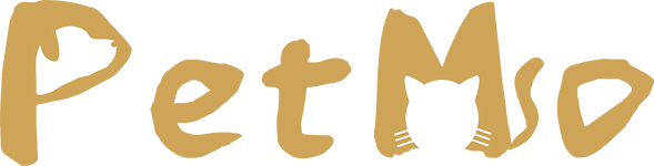 PetMo Grooming