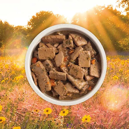 ACANA Premium Chunks Wet Dog Food - Beef Recipe in Bone Broth