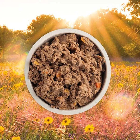 ACANA Premium Pate Wet Dog Food - Puppy Recipe in Bone Broth